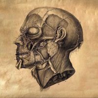 Канал о граничащей с искусством медицине: архивные фото вскрытий, разбор старинных хирургических инструментов, лекции по танатологии и криминальной антропологии. Вход — на ваш страх и риск.